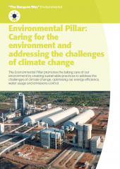 environmental pillar